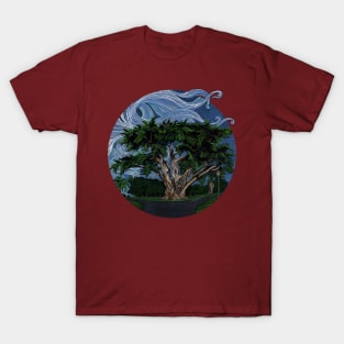 Doghill Tree, Alamo Sq. Park, SF in color ink T-Shirt